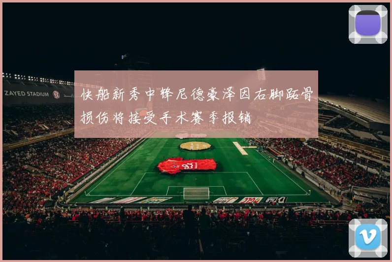 快船新秀中锋尼德豪泽因右脚跖骨损伤将接受手术赛季报销